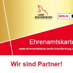 Ehrenamtskarte_Banner_300x250_1