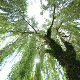 Austausch und Begegnung für ehemalige Häftlinge