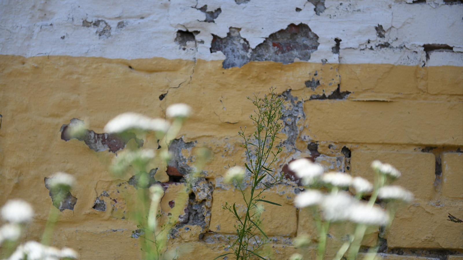 Beratung – Menschenrechtszentrumm Cottbus