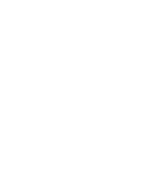 Icon-Leichte Sprache